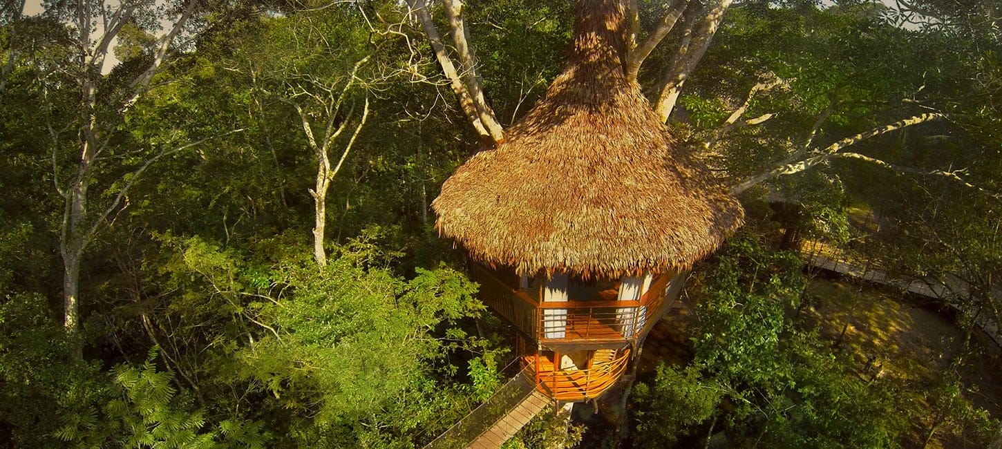 treehouse one