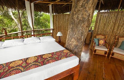treehouse vacations