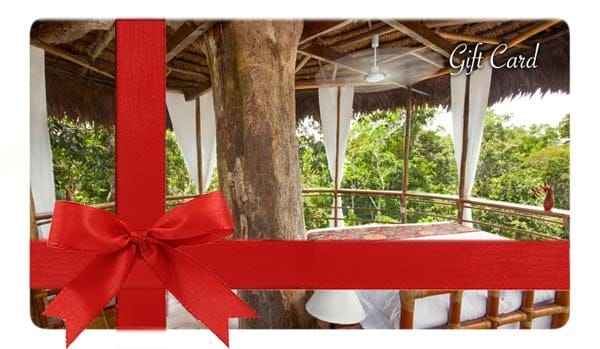 giftcard_treehouse_medsmall