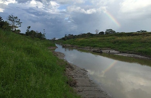 Drinkable Water in the Amazon