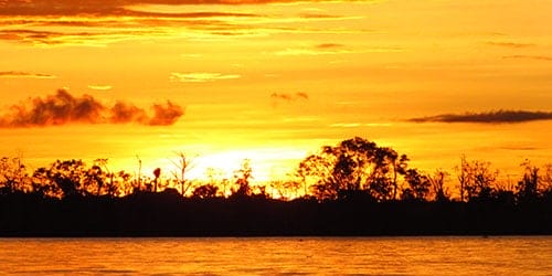 Amazon Sunset