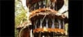 amazon treehouse