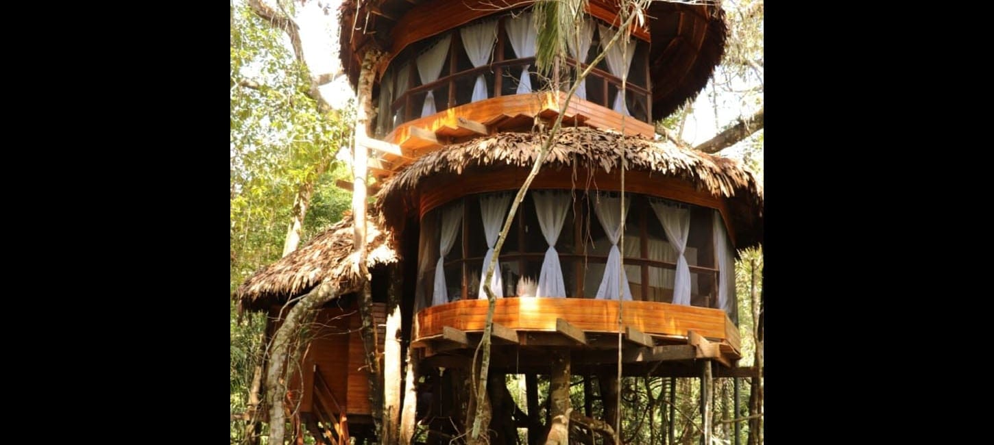 treehouse eleven