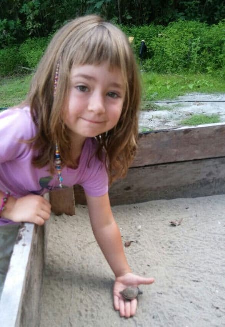 taricaya turtle release 