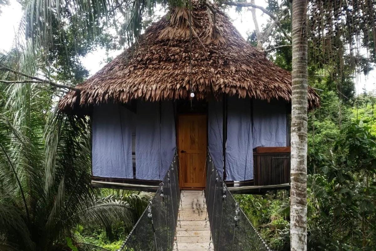 Casa Del Árbol Doce | Lodge en Iquitos y la Selva | Treehouse Lodge