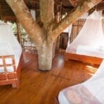 Treehouse Beds