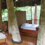 Tree House with Bed