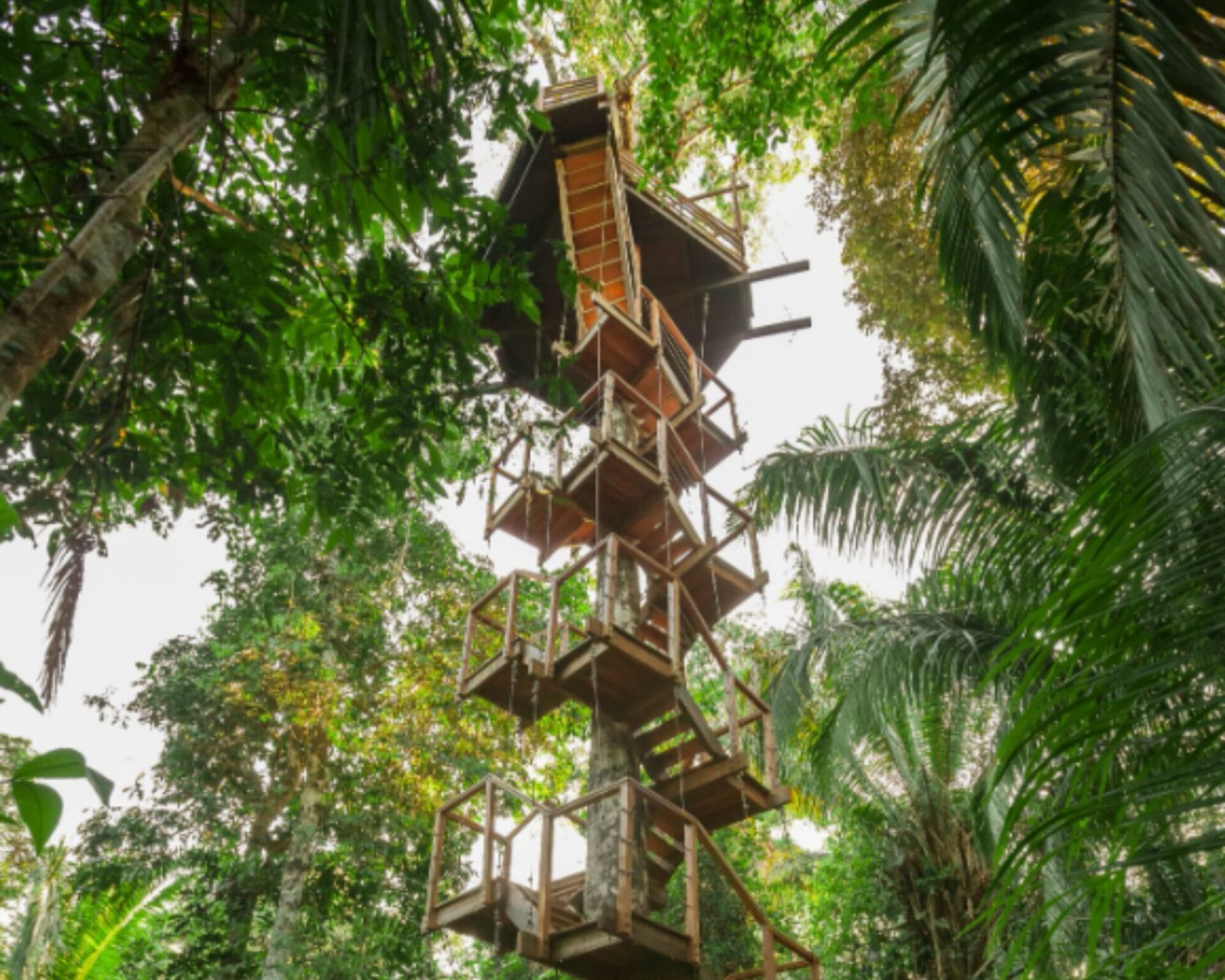 Treehouse stairs