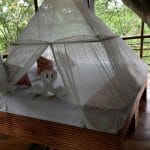 Treehouse Three – Rio Vista with mosquito mesh