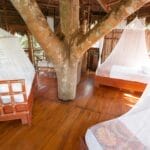 Treehouse Beds