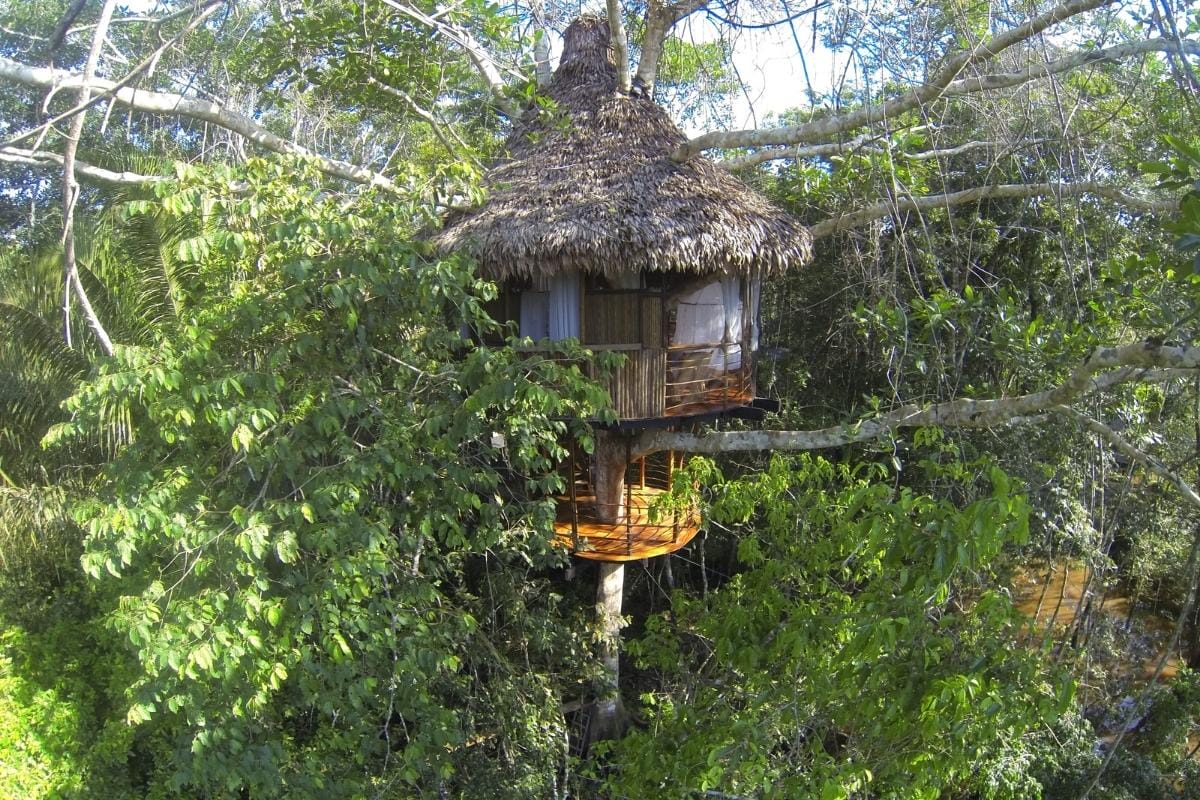 Treehouse two height