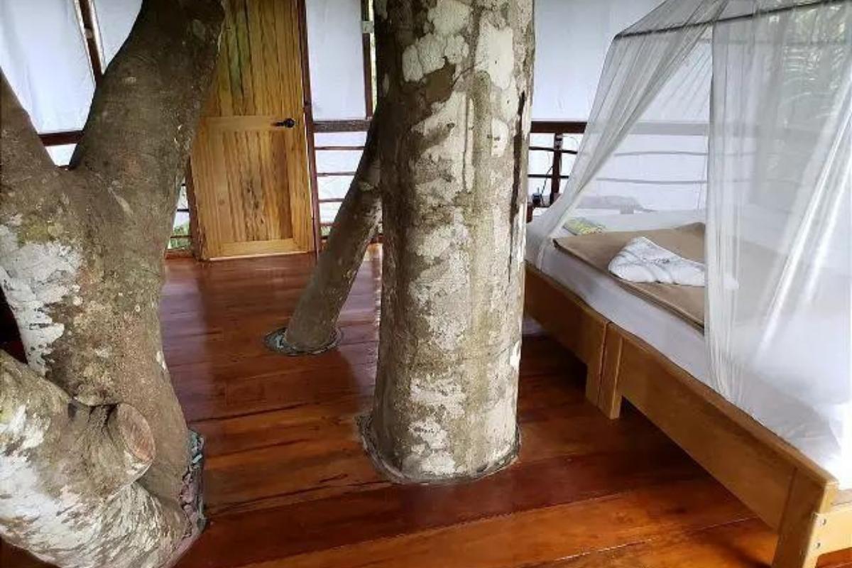 Cozy bed with canopy and tree trunk