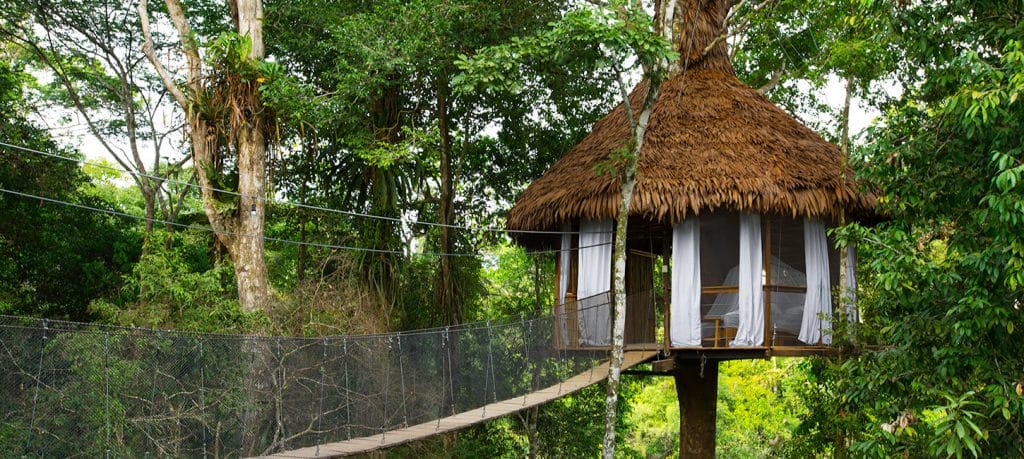 treehouse lodge Peruvian amazon