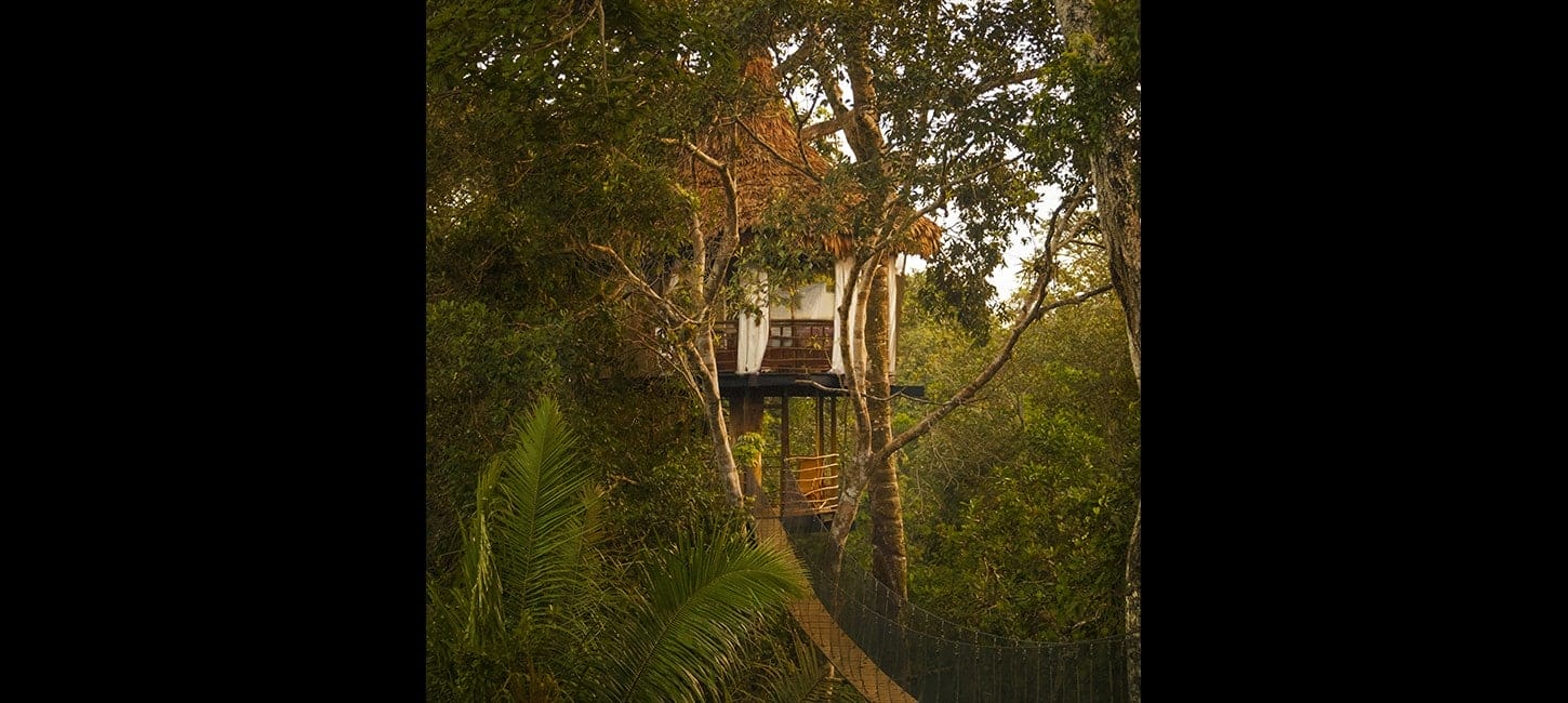 treehouse seven