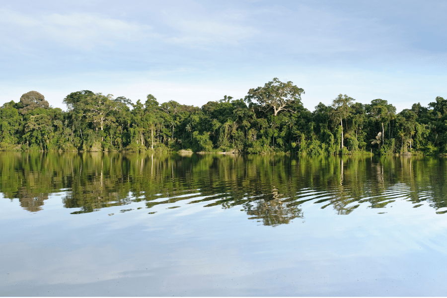Basic Information and Facts About Peru - Treehouse Lodge Peru Basic Information and Facts About Peru - Treehouse Lodge Peru