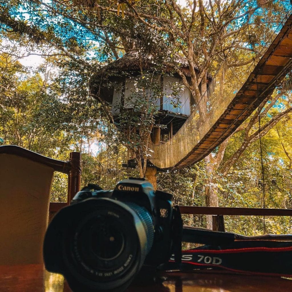 Camera on Treehouse Lodge